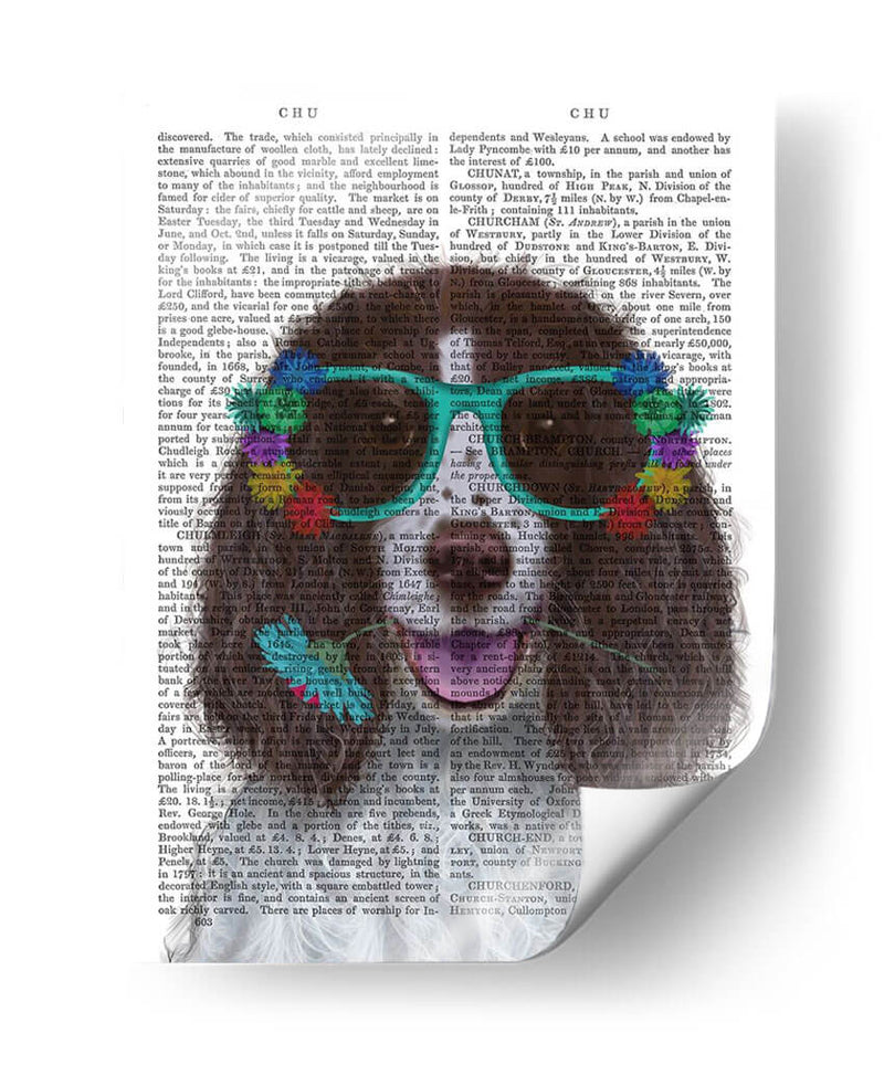 Springer Spaniel Y Gafas De Flores - Fab Funky | Cuadro decorativo de Canvas Lab
