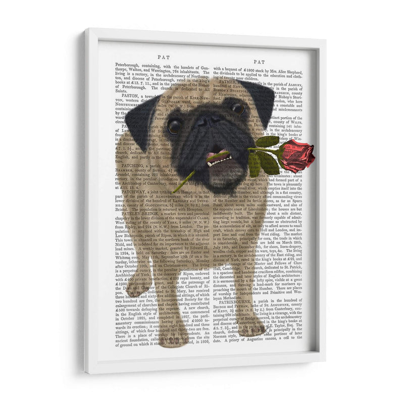 Pug Y Rose - Fab Funky | Cuadro decorativo de Canvas Lab