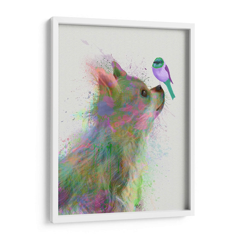 Chihuahua, Pelo Largo De Pelo Largo, Arco Iris - Fab Funky | Cuadro decorativo de Canvas Lab