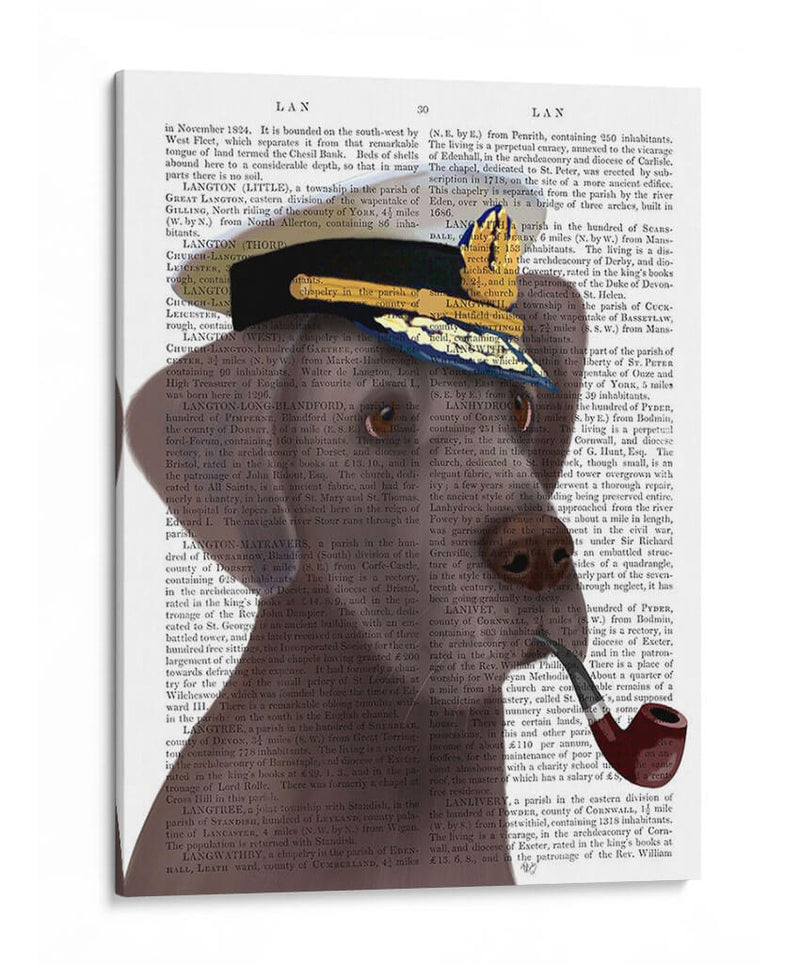 Great Dane Sea Dog - Fab Funky | Cuadro decorativo de Canvas Lab