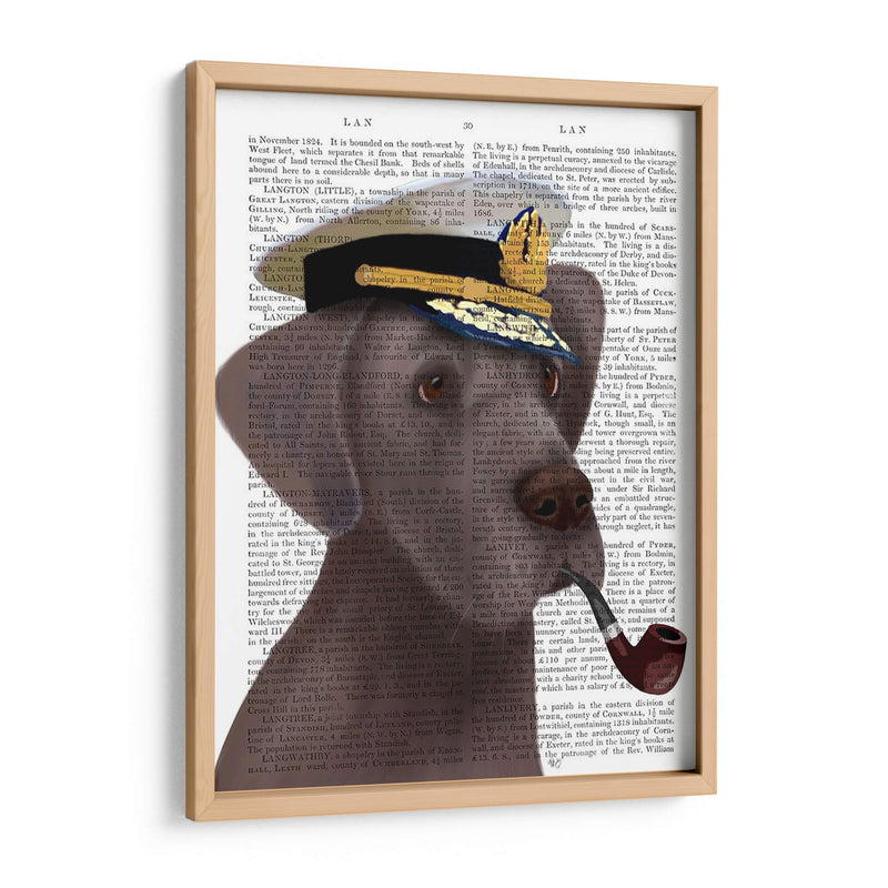 Great Dane Sea Dog - Fab Funky | Cuadro decorativo de Canvas Lab