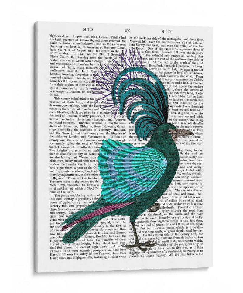 Pájaro De Cáscara Azul - Fab Funky | Cuadro decorativo de Canvas Lab