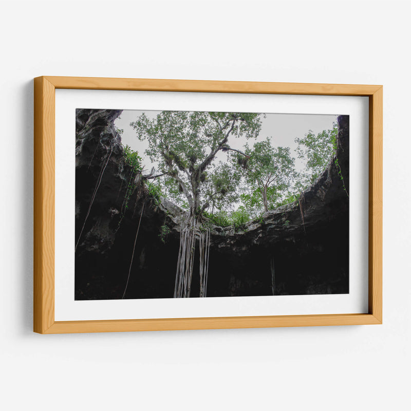 El Cenote - Arturo Sánchez | Cuadro decorativo de Canvas Lab