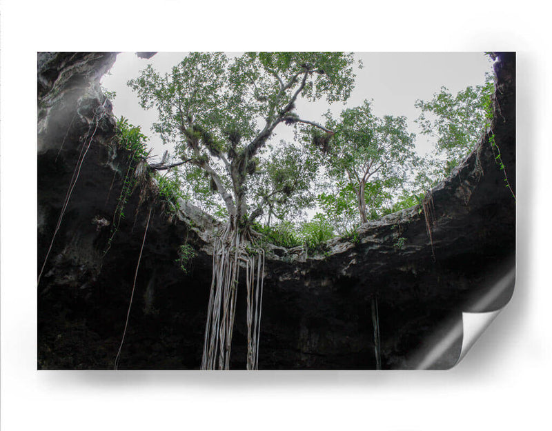 El Cenote - Arturo Sánchez | Cuadro decorativo de Canvas Lab