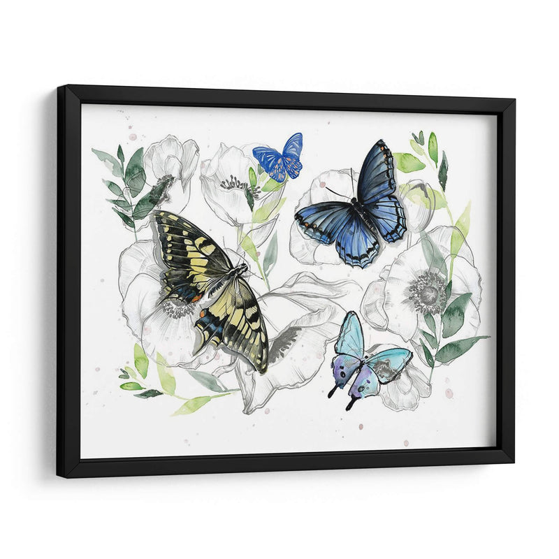 Colección De Mariposa Acuarela A - Jennifer Paxton Parker | Cuadro decorativo de Canvas Lab