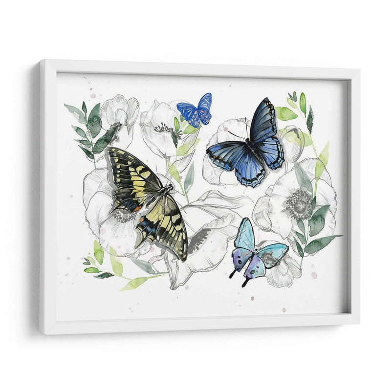 Colección De Mariposa Acuarela A - Jennifer Paxton Parker | Cuadro decorativo de Canvas Lab
