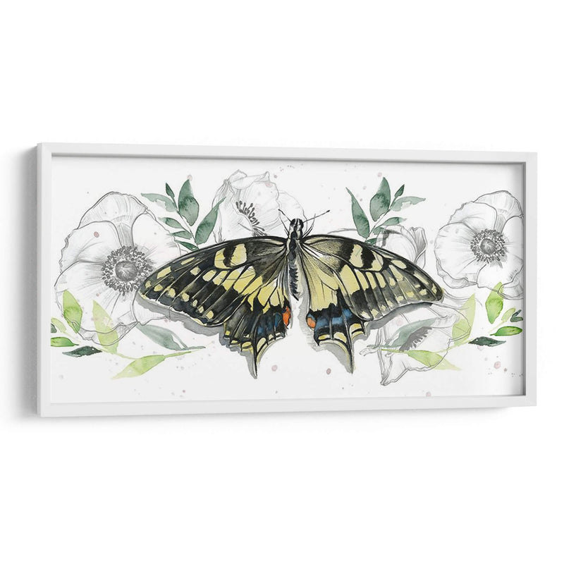 Colección De Mariposa Acuarela D - Jennifer Paxton Parker | Cuadro decorativo de Canvas Lab