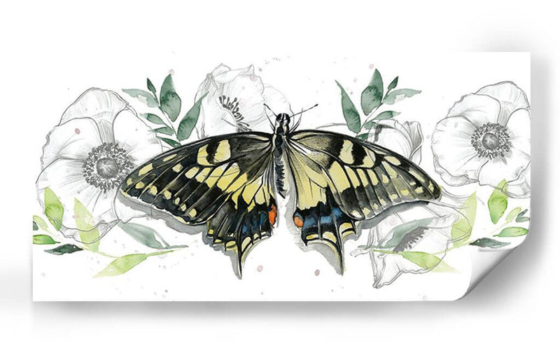 Colección De Mariposa Acuarela D - Jennifer Paxton Parker | Cuadro decorativo de Canvas Lab