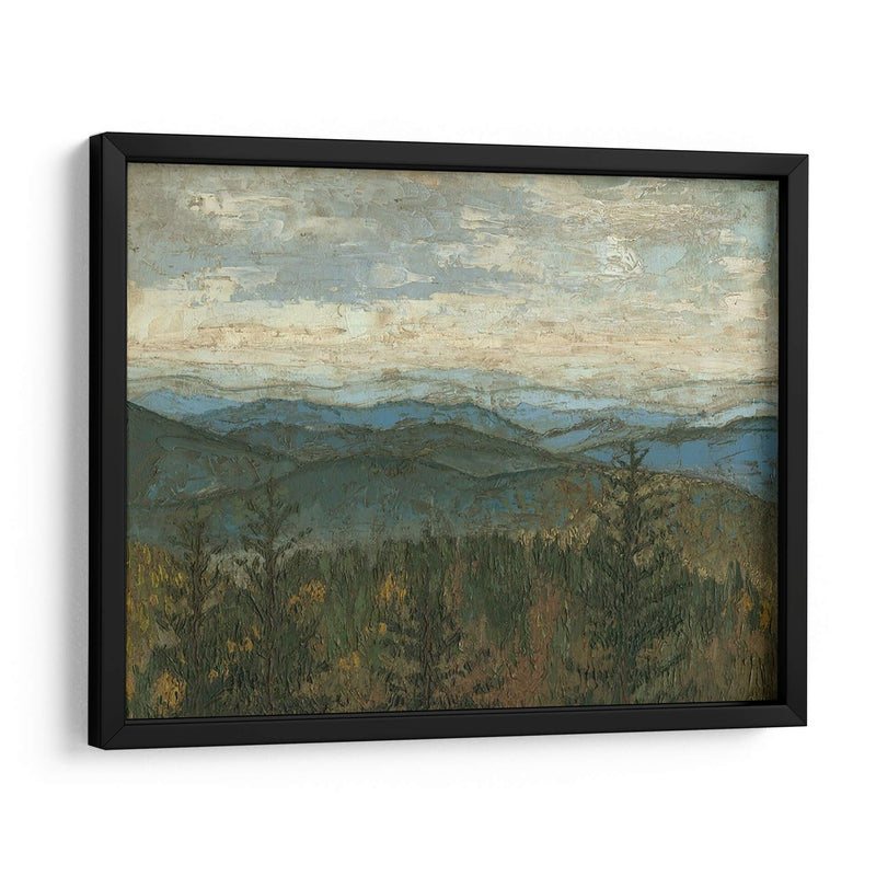 Vista De Blue Ridge Ii - Megan Meagher | Cuadro decorativo de Canvas Lab