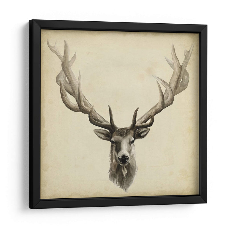 Tríptico Elk Cuadrado - Grace Popp | Cuadro decorativo de Canvas Lab