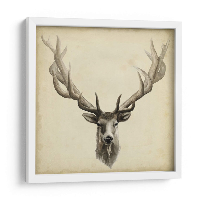 Tríptico Elk Cuadrado - Grace Popp | Cuadro decorativo de Canvas Lab