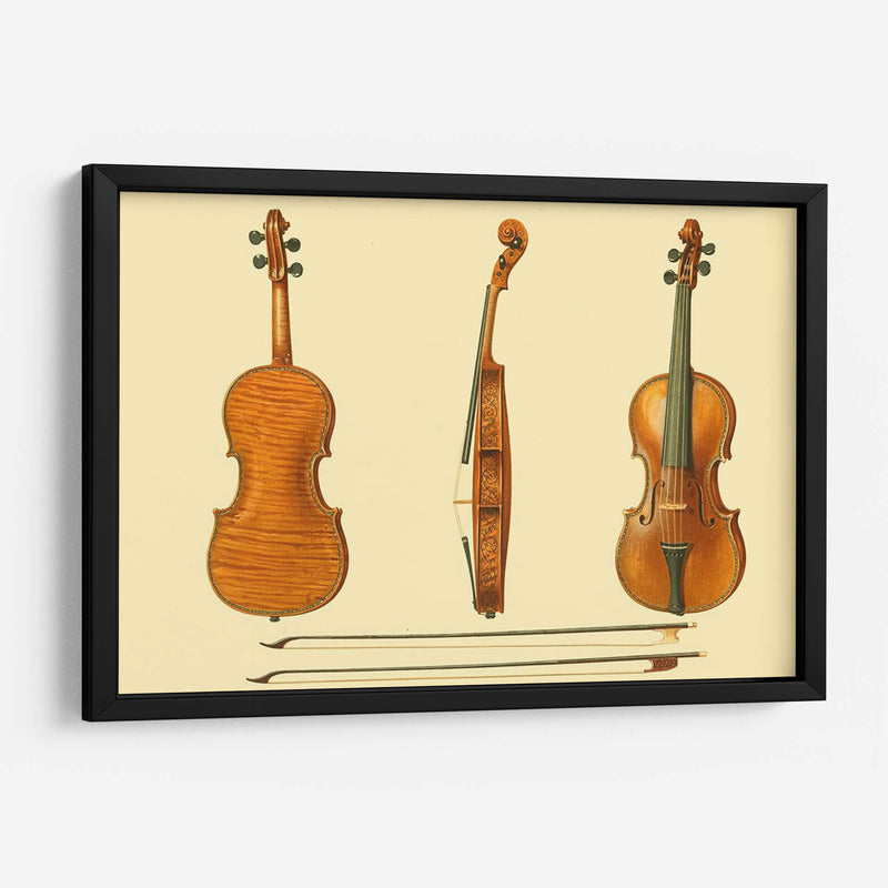 Violines Antiguos Ii - F. Lehnert | Cuadro decorativo de Canvas Lab
