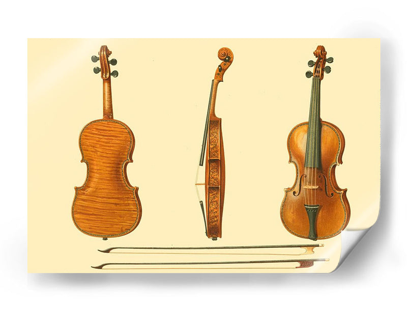 Violines Antiguos Ii - F. Lehnert | Cuadro decorativo de Canvas Lab
