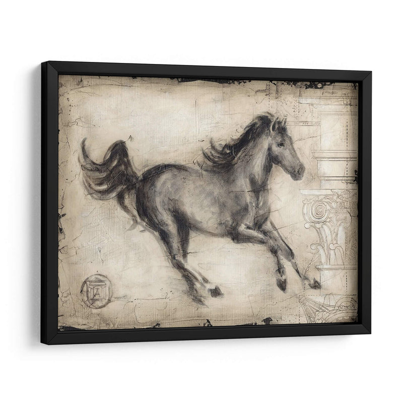 Caballo Romano I - Ethan Harper | Cuadro decorativo de Canvas Lab