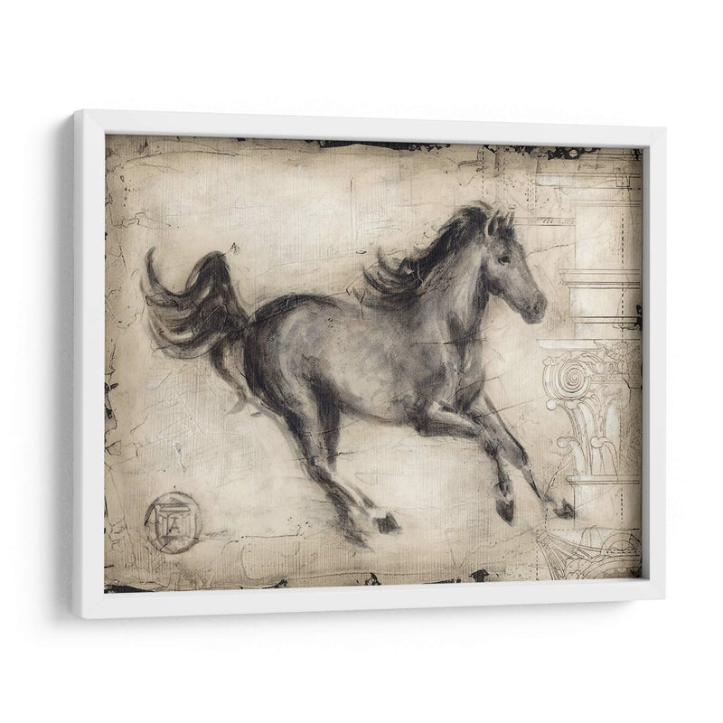 Caballo Romano I - Ethan Harper | Cuadro decorativo de Canvas Lab