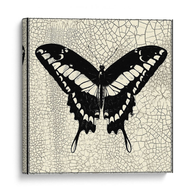Mariposa Clásica Iv - Vision Studio | Cuadro decorativo de Canvas Lab