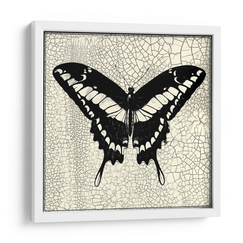 Mariposa Clásica Iv - Vision Studio | Cuadro decorativo de Canvas Lab