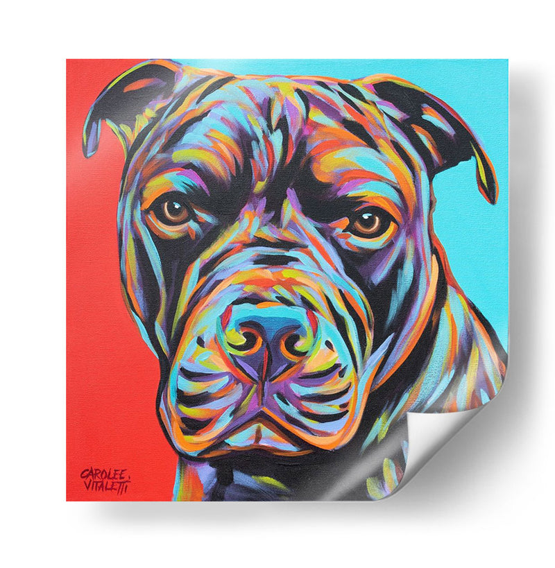 Canine Buddy Iii - Carolee Vitaletti | Cuadro decorativo de Canvas Lab