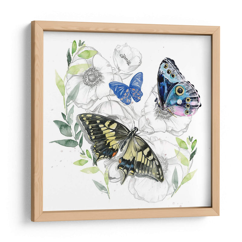 Mariposa Floral I - Jennifer Paxton Parker | Cuadro decorativo de Canvas Lab