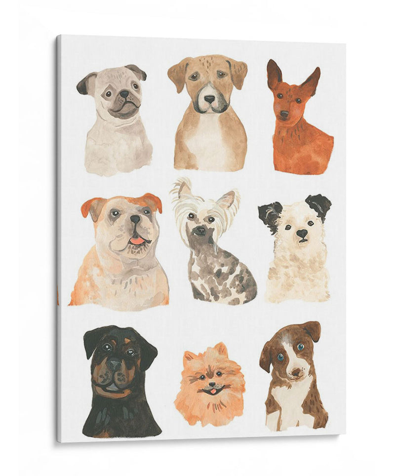 Doggos Y Cachaches I - June Erica Vess | Cuadro decorativo de Canvas Lab