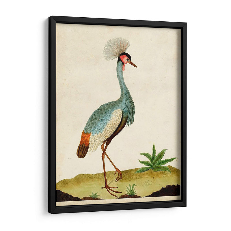 Heron Retrato I | Cuadro decorativo de Canvas Lab