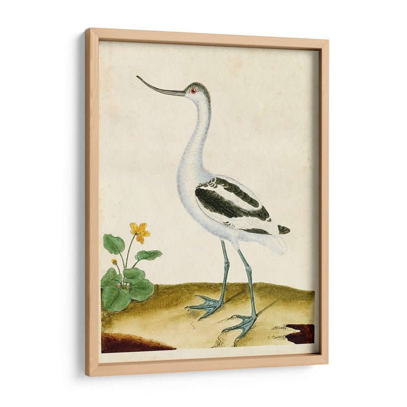 Heron Retrato Viii | Cuadro decorativo de Canvas Lab