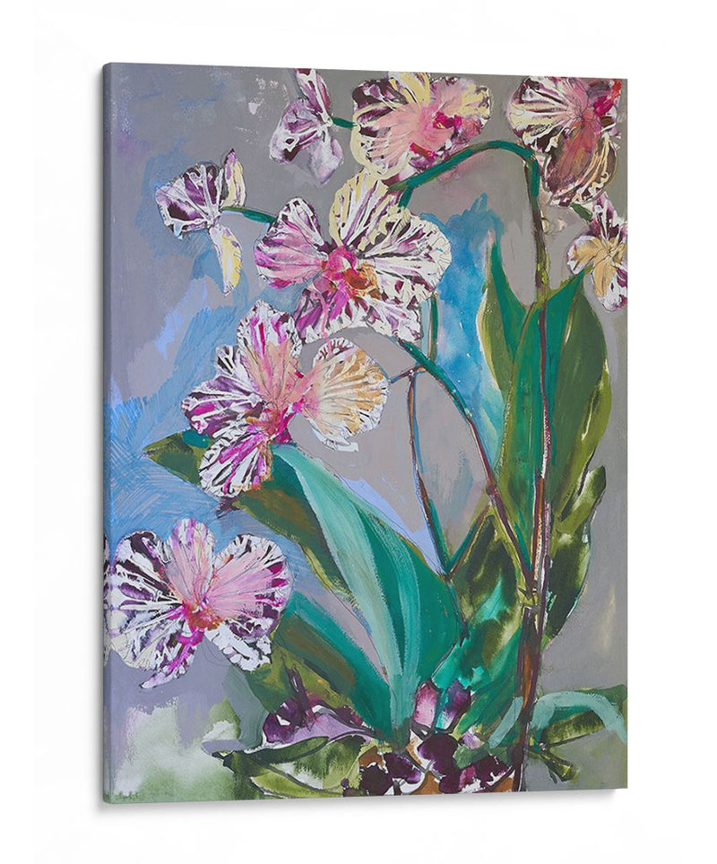 Flores De Primavera De Maine I - Erin McGee Ferrell | Cuadro decorativo de Canvas Lab