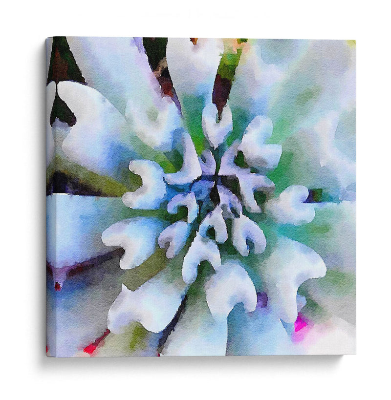 Succulente I - Jennifer Paxton Parker | Cuadro decorativo de Canvas Lab