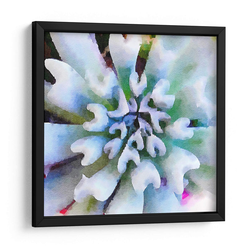 Succulente I - Jennifer Paxton Parker | Cuadro decorativo de Canvas Lab