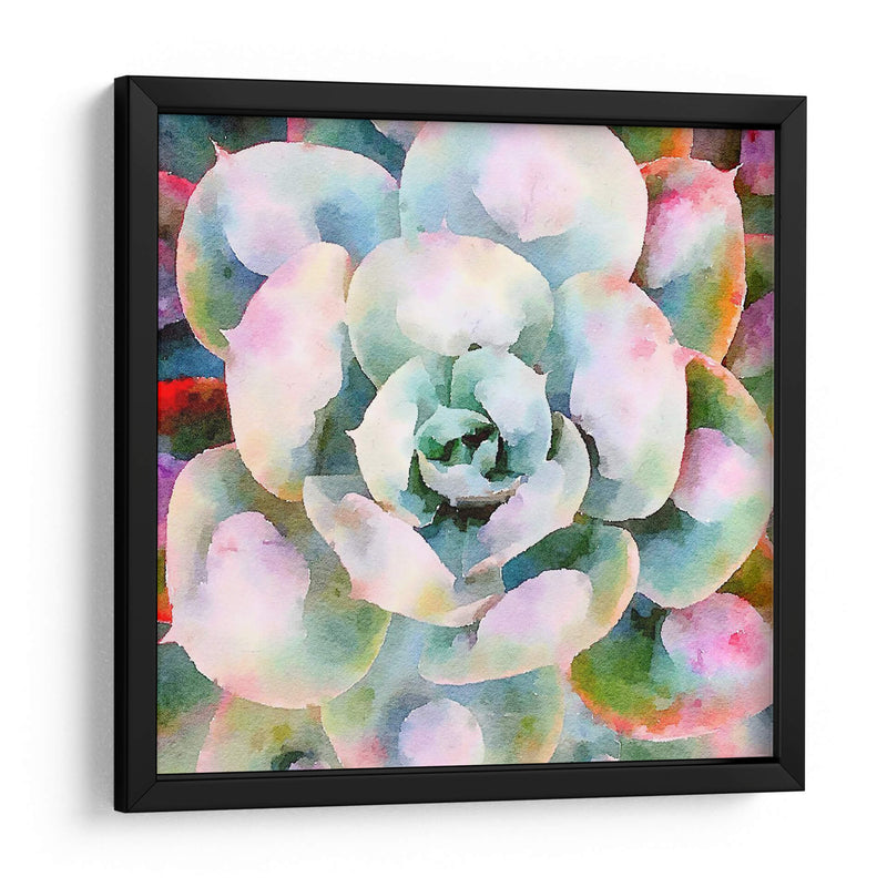 Succulente V - Jennifer Paxton Parker | Cuadro decorativo de Canvas Lab
