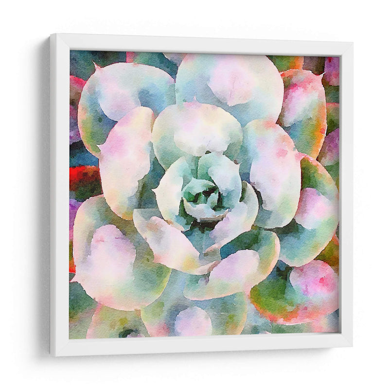 Succulente V - Jennifer Paxton Parker | Cuadro decorativo de Canvas Lab