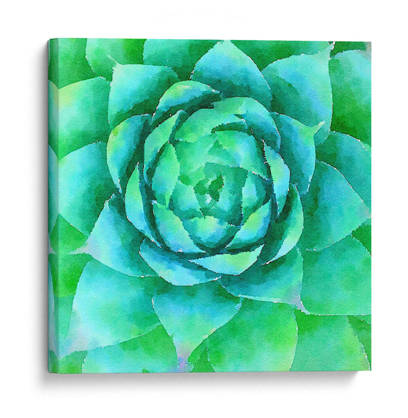 Succulente X - Jennifer Paxton Parker | Cuadro decorativo de Canvas Lab