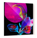 Flor de Ocaso - Carlos Ms | Cuadro decorativo de Canvas Lab