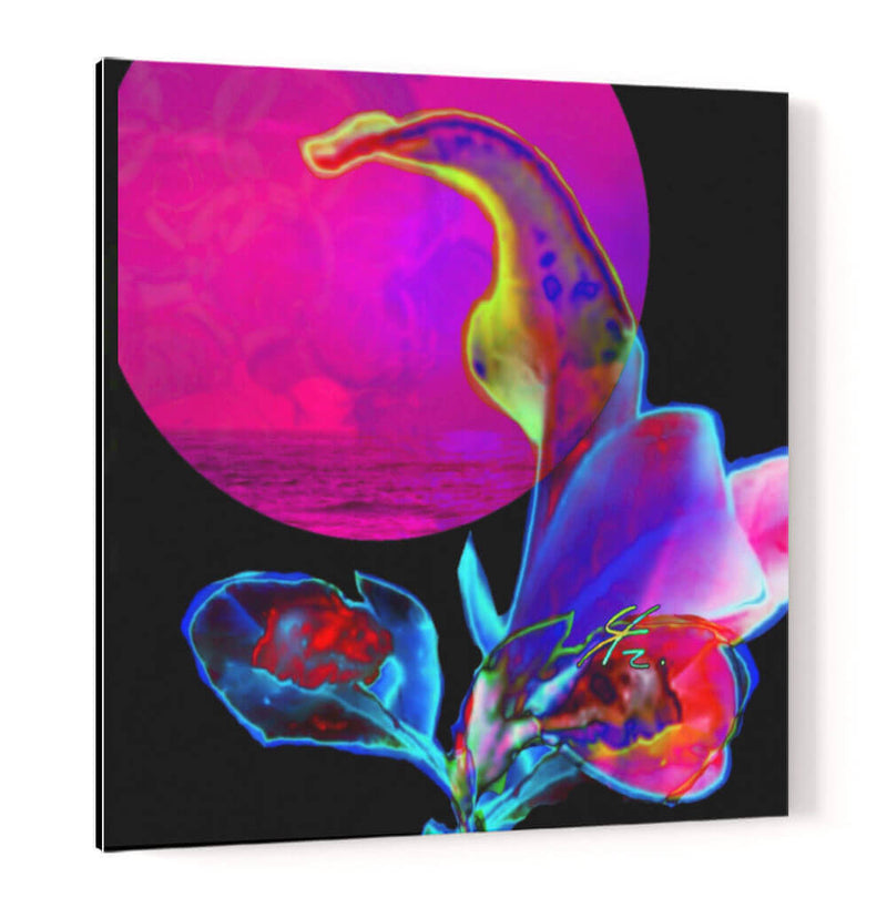 Flor de Ocaso - Carlos Ms | Cuadro decorativo de Canvas Lab