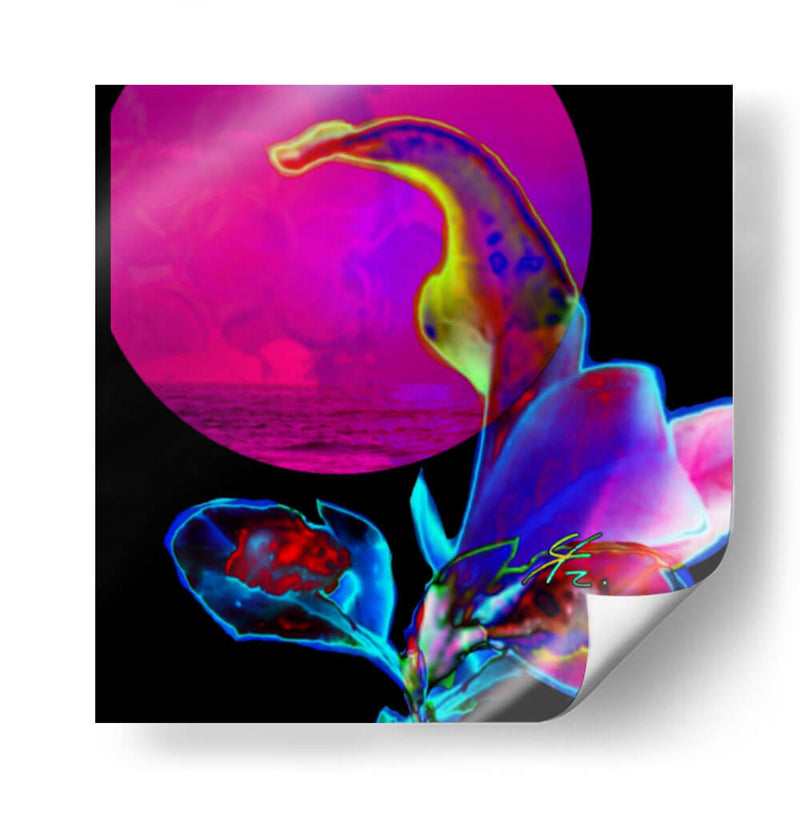 Flor de Ocaso - Carlos Ms | Cuadro decorativo de Canvas Lab