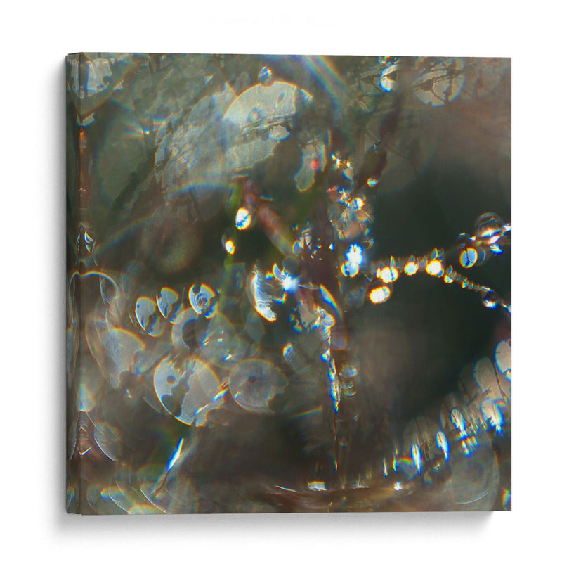 Angel Drops Iii - Gillian Hunt | Cuadro decorativo de Canvas Lab