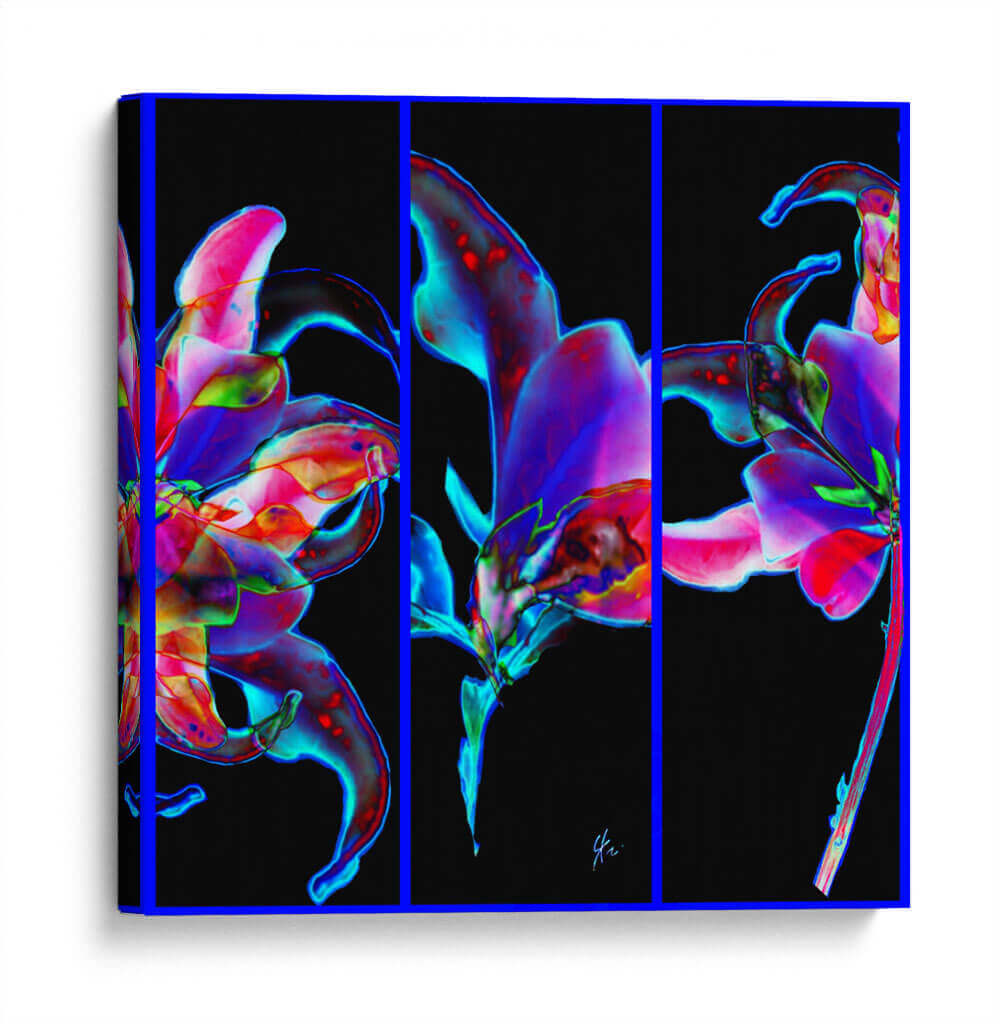 Trilogía Floreada - Carlos Ms | Cuadro decorativo de Canvas Lab