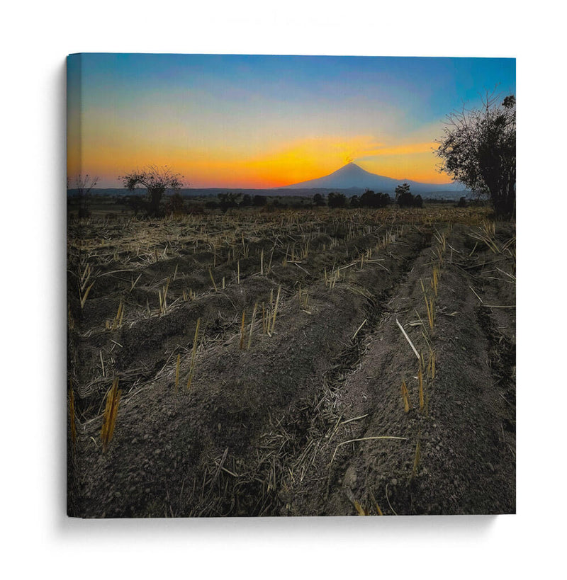 Nuestra tierra y el Popocatépetl - Omar Montero | Cuadro decorativo de Canvas Lab