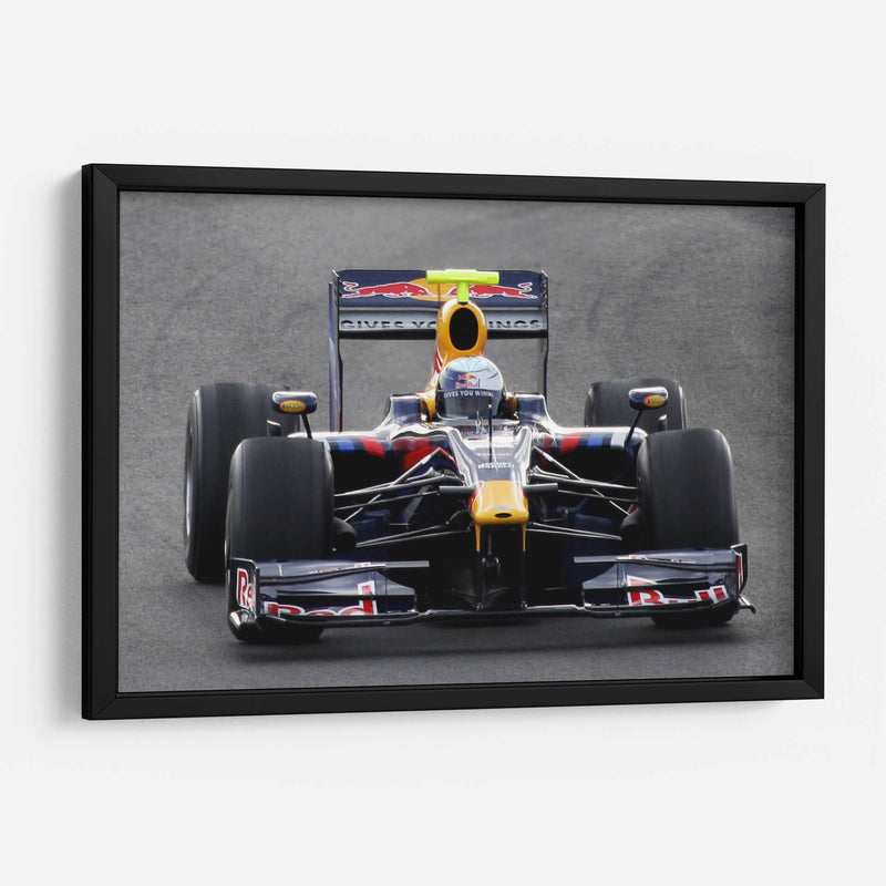 Sebastian Vettel 2009 | Cuadro decorativo de Canvas Lab