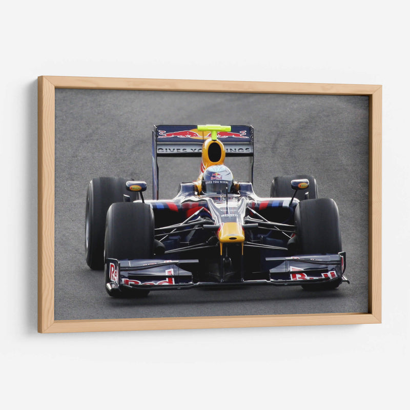 Sebastian Vettel 2009 | Cuadro decorativo de Canvas Lab