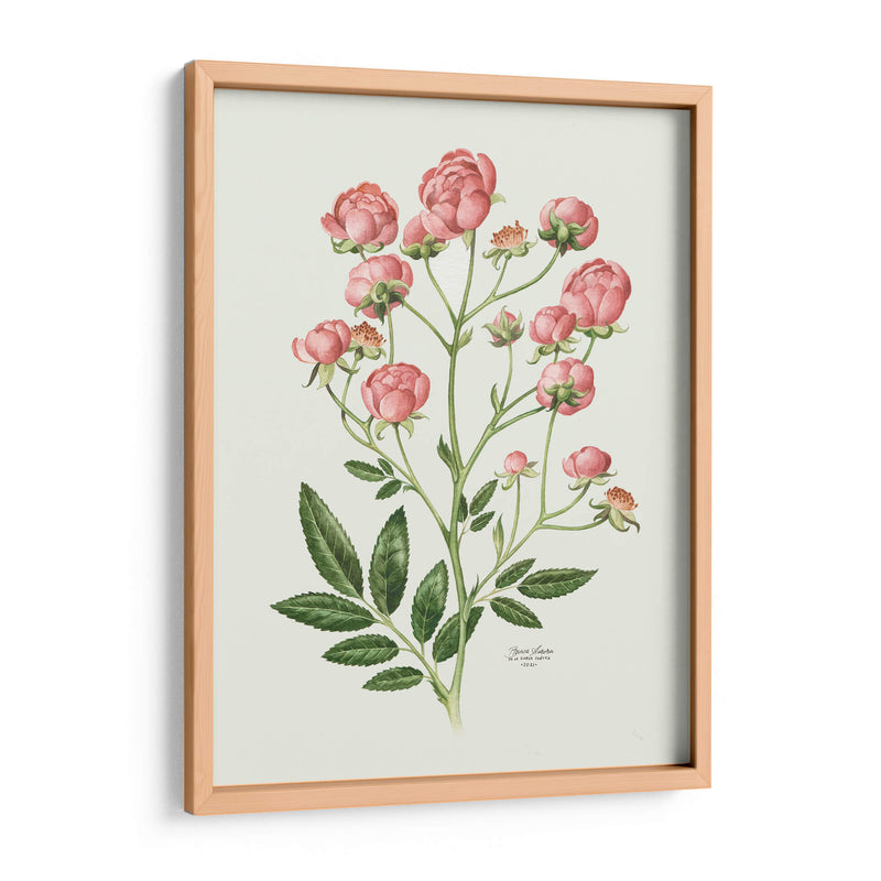 Rosas Vintage - Blanca Aurora | Cuadro decorativo de Canvas Lab