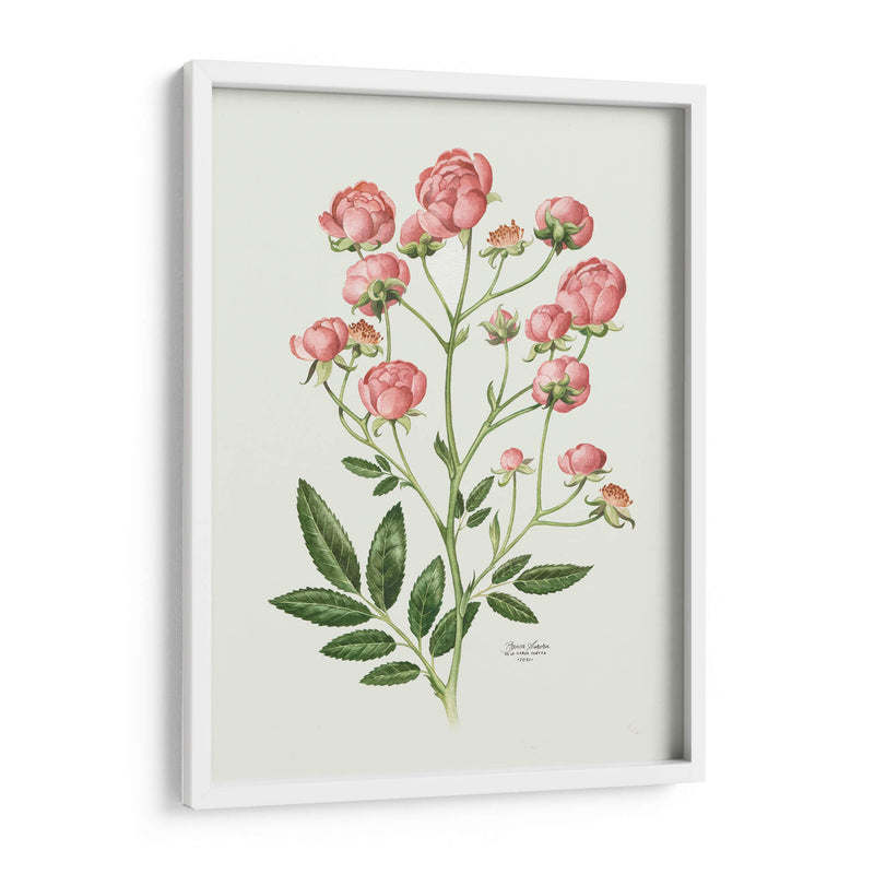 Rosas Vintage - Blanca Aurora | Cuadro decorativo de Canvas Lab