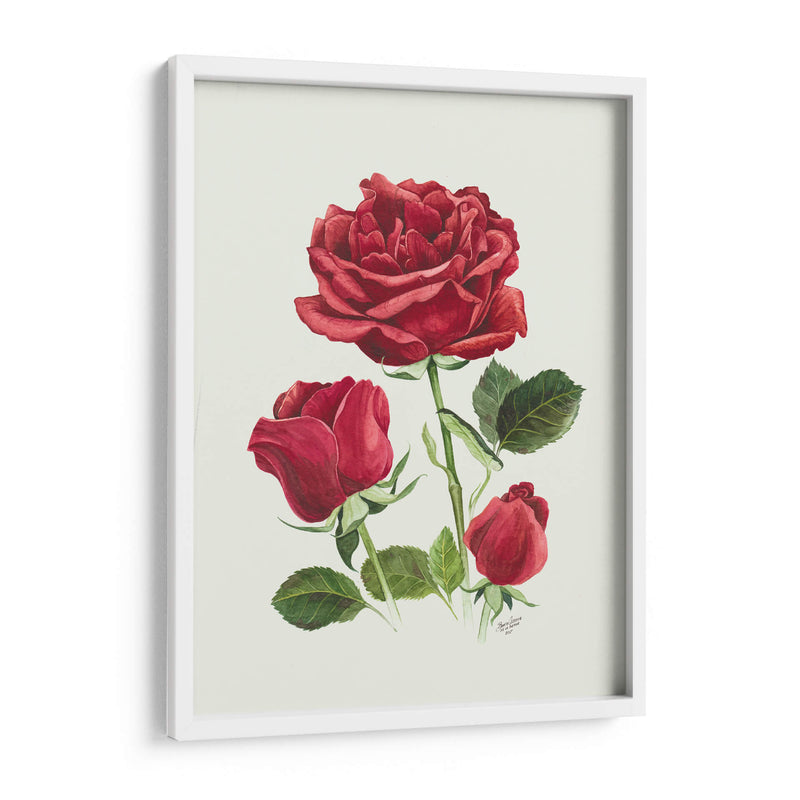 Rosas Rojas Vintage - Blanca Aurora | Cuadro decorativo de Canvas Lab