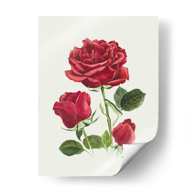Rosas Rojas Vintage - Blanca Aurora | Cuadro decorativo de Canvas Lab