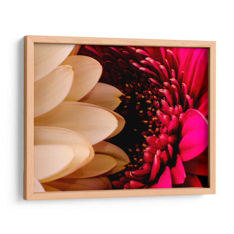 romance floral - Alvaro Martinz | Cuadro decorativo de Canvas Lab