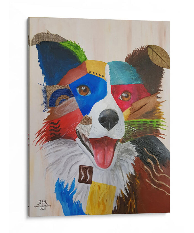 Perro Border Collie - Rodríguez Marconi | Cuadro decorativo de Canvas Lab