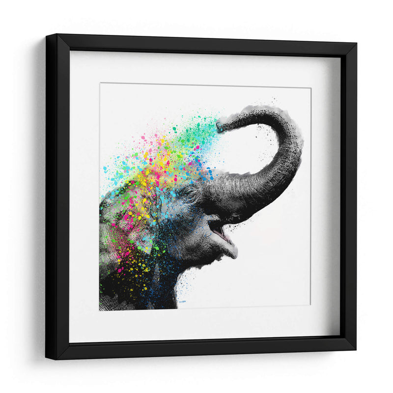 Elephant Color Shower Close up - Hue Art | Cuadro decorativo de Canvas Lab