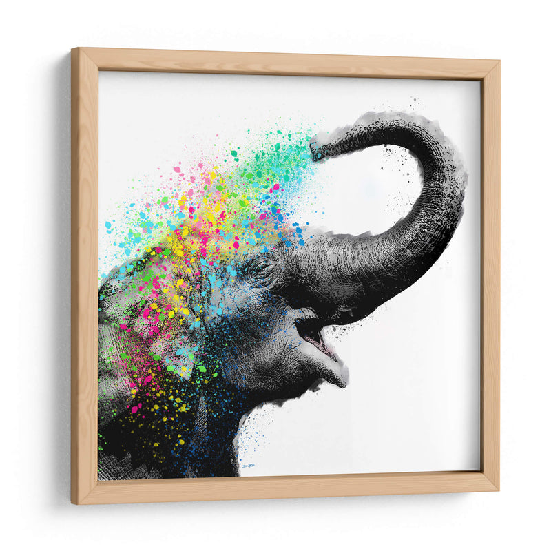 Elephant Color Shower Close up - Hue Art | Cuadro decorativo de Canvas Lab