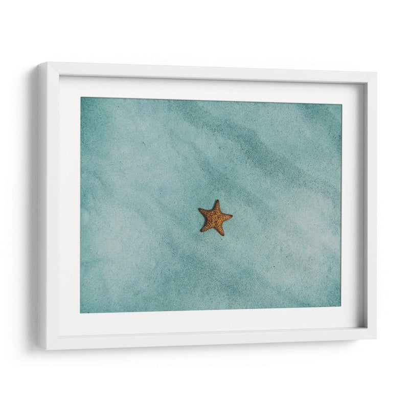 Una estrella de mar | Cuadro decorativo de Canvas Lab