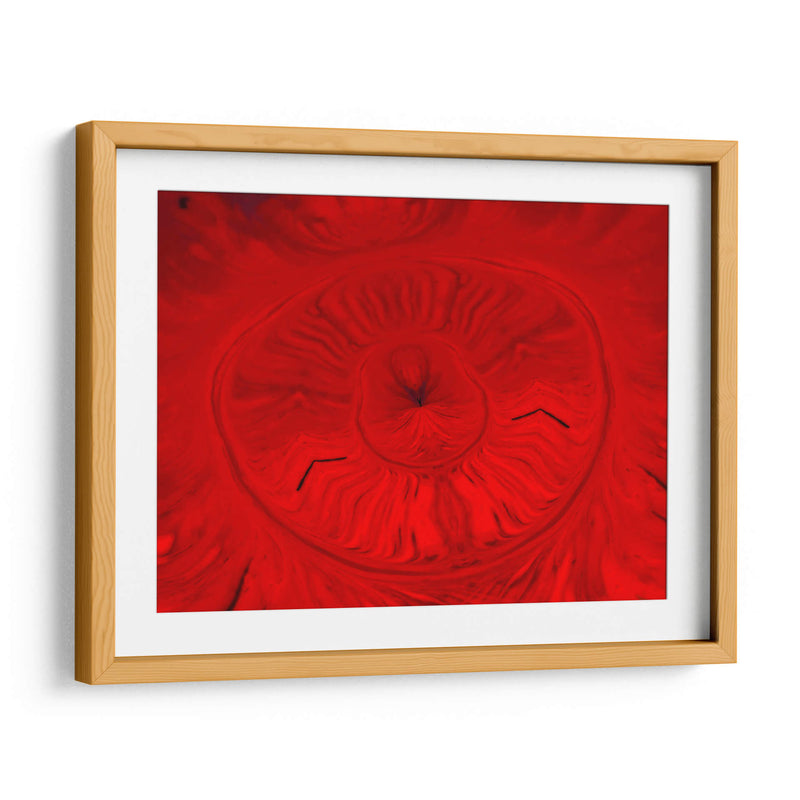 Runa roja - Rodrigo Barrera | Cuadro decorativo de Canvas Lab